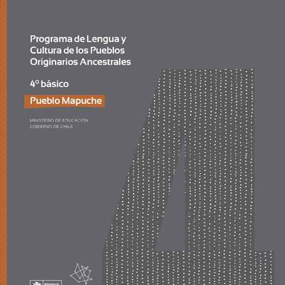 Programa de Estudio MAPUCHE 4° básico