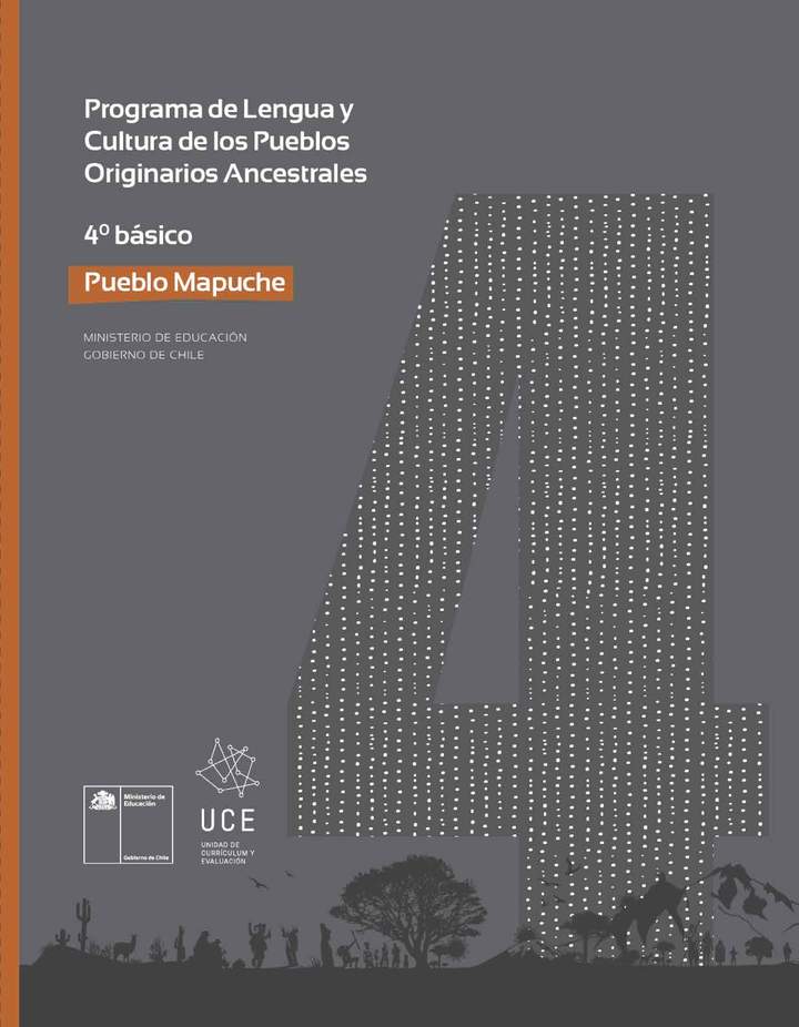 Programa de Estudio MAPUCHE 4° básico