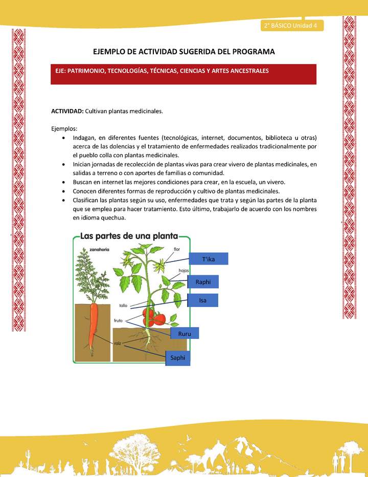 Actividad sugerida: LC02 - Colla - U4 - N°4: Cultivan plantas medicinales.