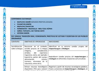 Actividad sugerida: LC01 - Mapuche - Matriz - U2