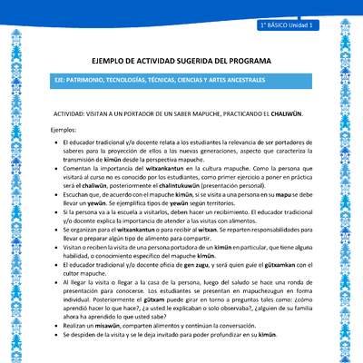 Actividad sugerida: LC01 - Mapuche - U1 - N°11: VISITAN A UN PORTADOR DE UN SABER MAPUCHE, PRACTICANDO EL CHALIWÜN.