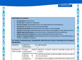 Actividad sugerida: LC01 - Mapuche - Matriz - U3