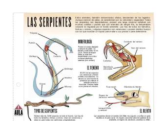 Serpientes