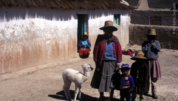 Familia Aymara