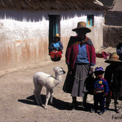 Familia Aymara