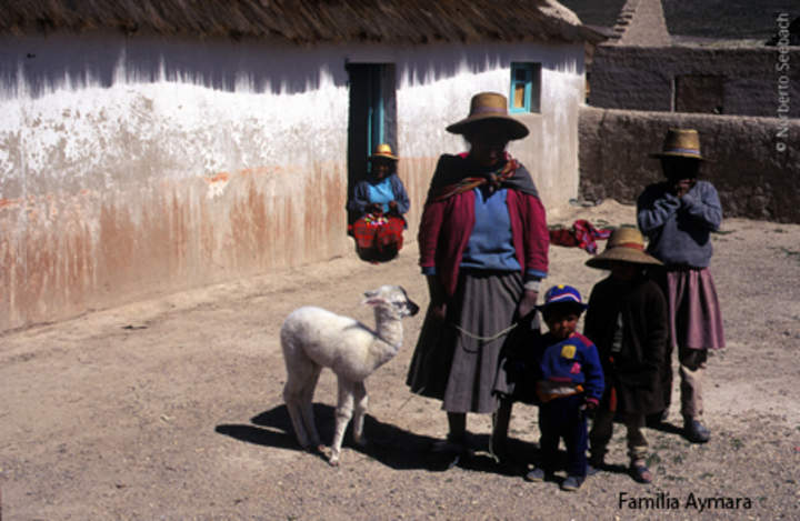 Familia Aymara