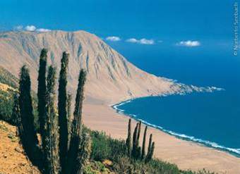 Playa Pan de Azúcar, Zona Norte