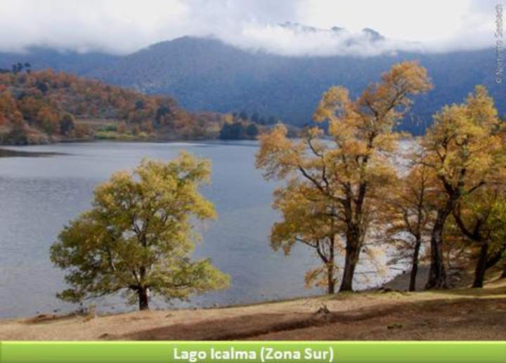 Lago Icalma, Zona Sur