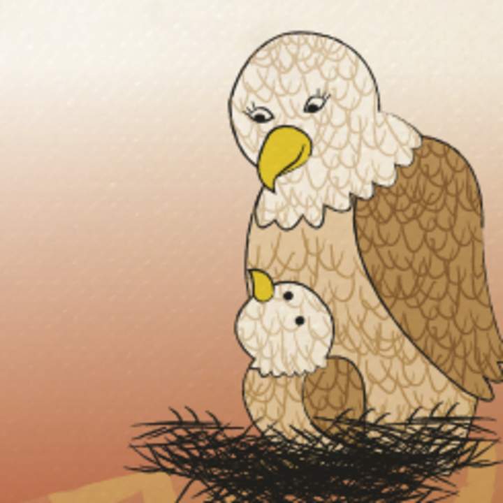 Letra g: El nido de águila - Curriculum Nacional. MINEDUC. Chile.