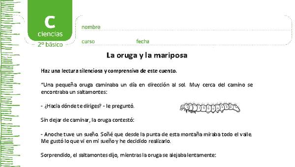 La oruga y la mariposa