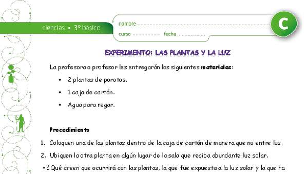 Experimento: Las plantas y la luz