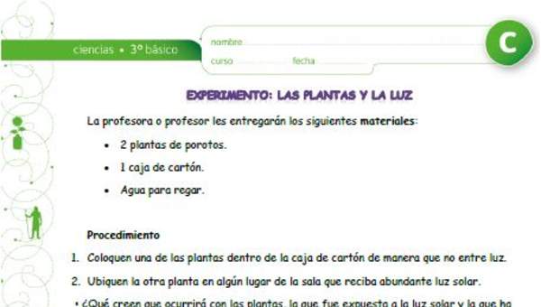 Experimento: Las plantas y la luz