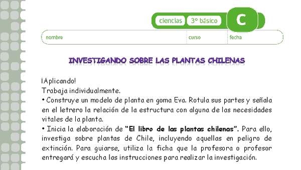 Investigando sobre las plantas chilenas