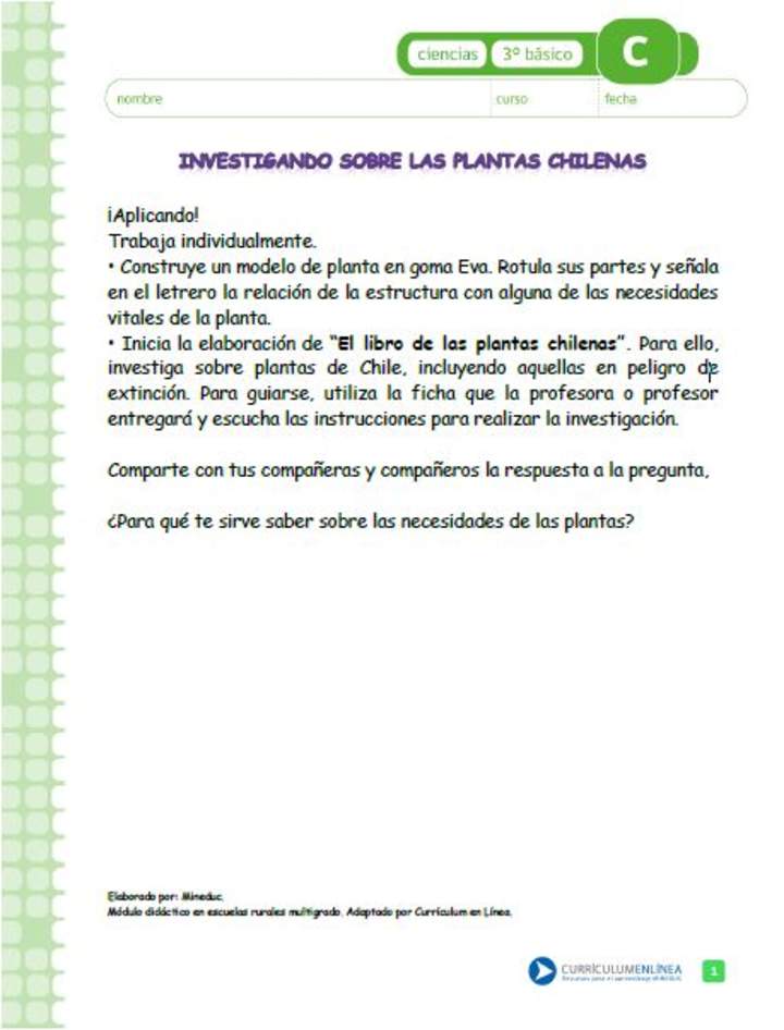 Investigando sobre las plantas chilenas