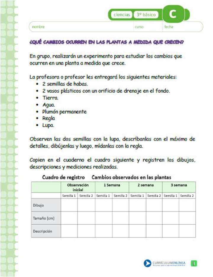 ¿Qué cambios se producen en las plantas a medida que crecen?