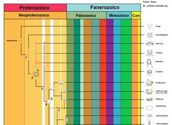 Árbol filogenético de la vida