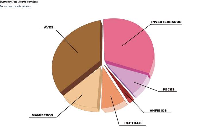 Grupos de animales en peligro de extinción en España