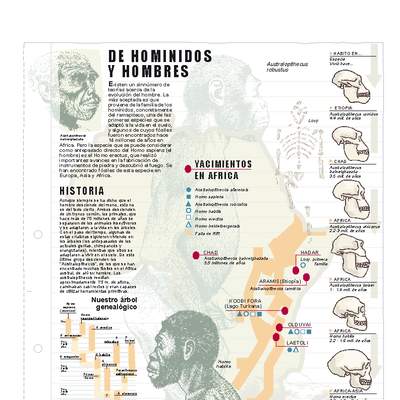 Historia de homínidos y hombres