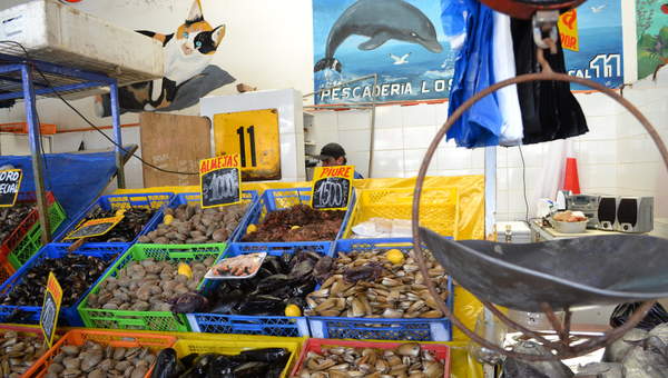 Caleta con mariscos a la venta