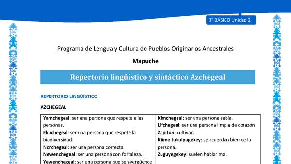 Repertorio lingüístico y sintáctico Azchegeal