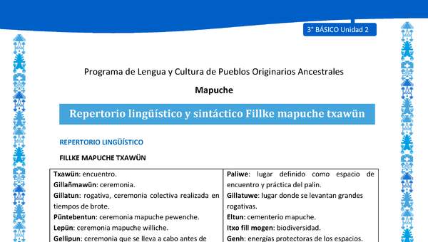 Repertorio lingüístico y sintáctico Fillke mapuche txawün
