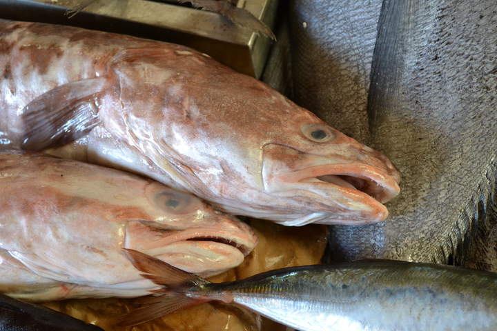 Pescados