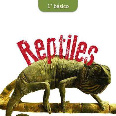 Reptiles