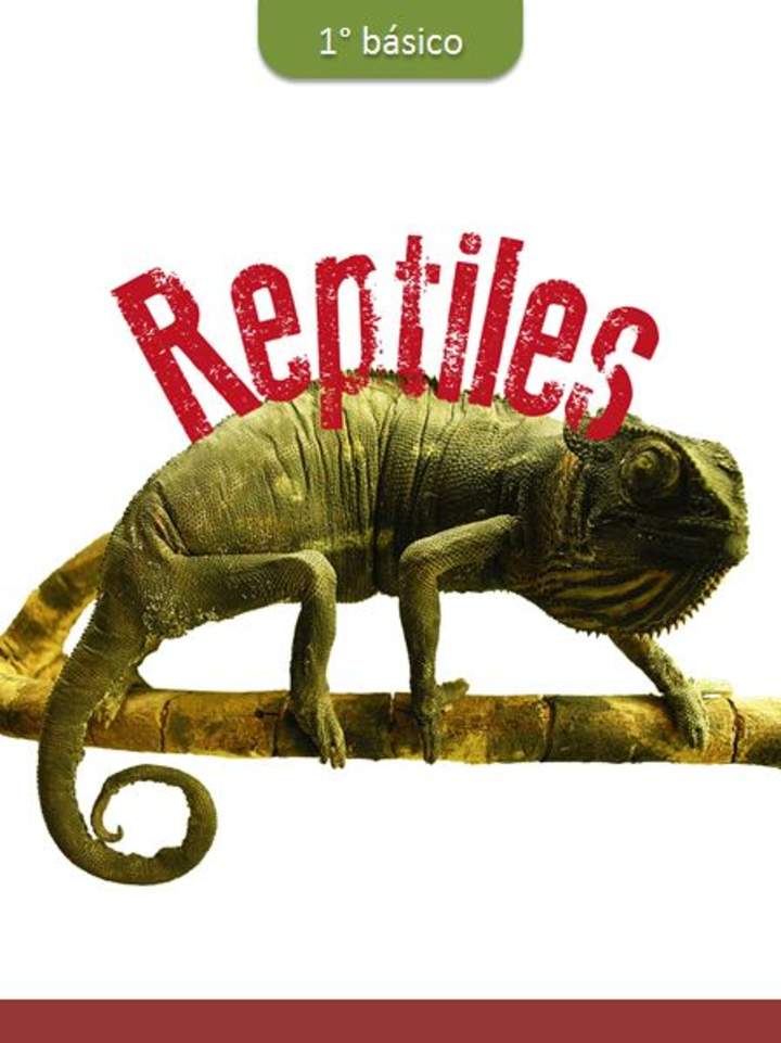 Reptiles