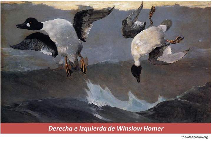 Derecha e izquierda de Winslow Homer