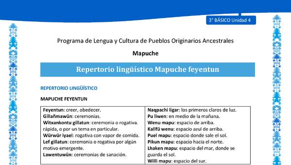 Repertorio lingüístico Mapuche feyentun
