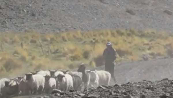 Video de actividad sugerida - LC03 – Colla – U1 : Investigan sobre la historia del pueblo colla