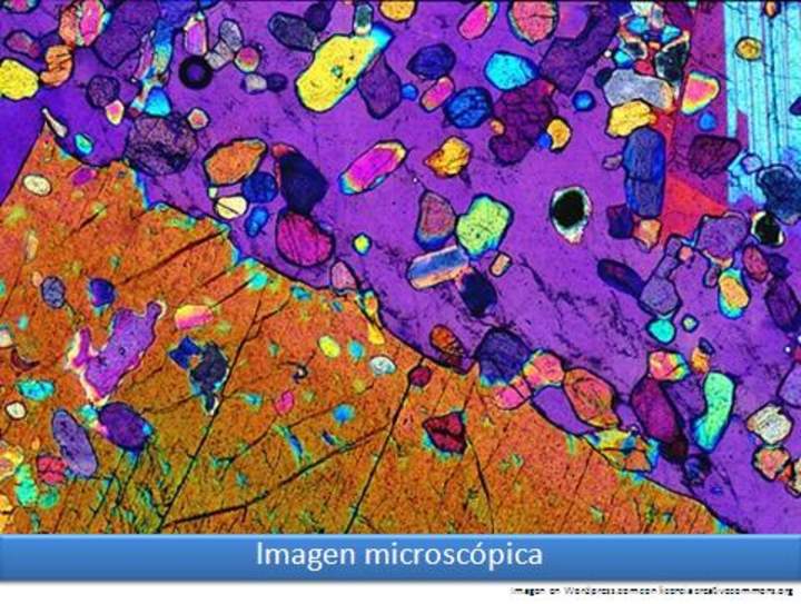 Imagen microscópica 2
