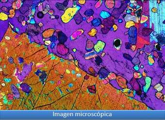 Imagen microscópica 2