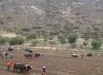 Video de Actividad sugerida: LC03 - Quechua: Recrean actividades comunitarias en su entorno cercano.