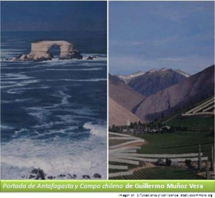 Portada de Antofagasta y campo chileno