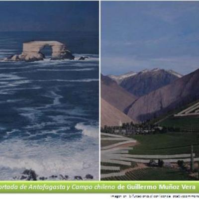 Portada de Antofagasta y campo chileno