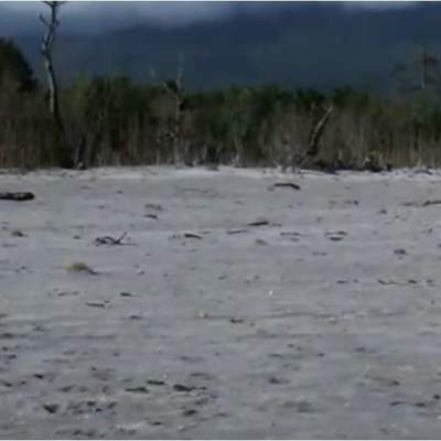 Consecuencias de la erupción del volcán Chaitén