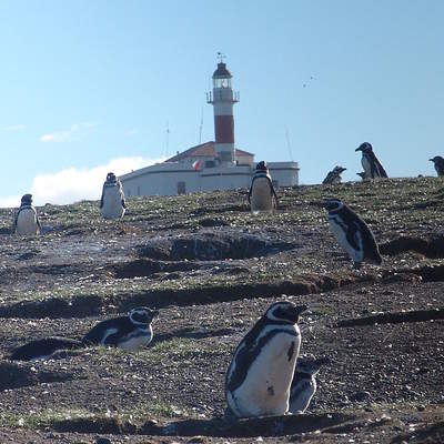 Faro Isla Magdalena