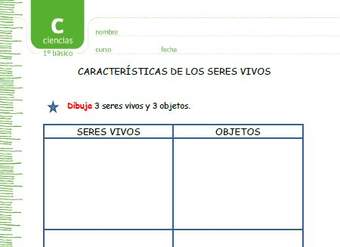 Características de los seres vivos