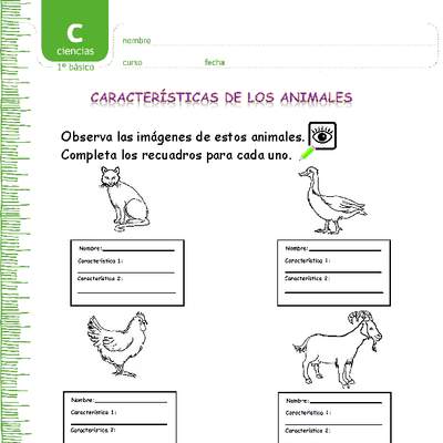 Características de los animales