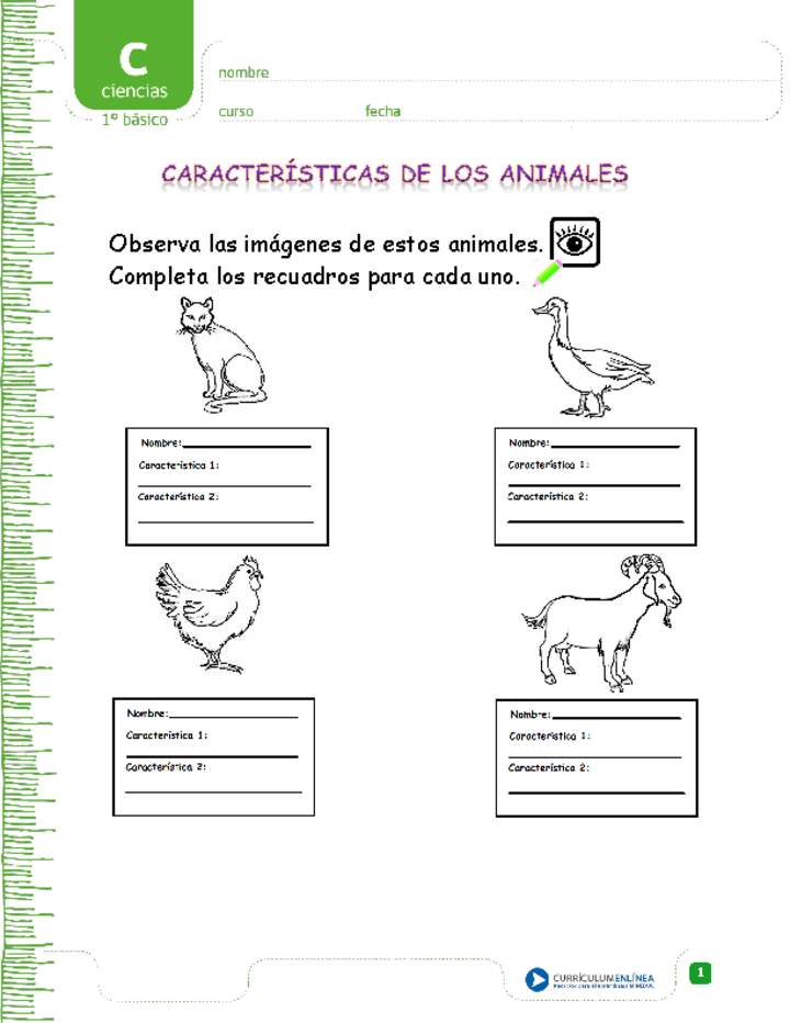Características de los animales Curriculum Nacional. MINEDUC. Chile.