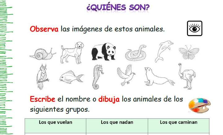 ¿Quiénes son?