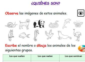 ¿Quiénes son?