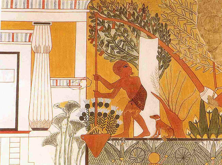 Escena del jardinero utilizando un shaduf, la tumba de Ipuy en Deir el Medina