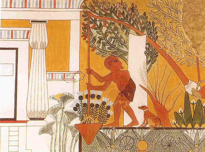 Escena del jardinero utilizando un shaduf, la tumba de Ipuy en Deir el Medina