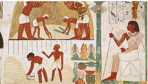 Mural Egipto agricultores en la tumba de Nakht