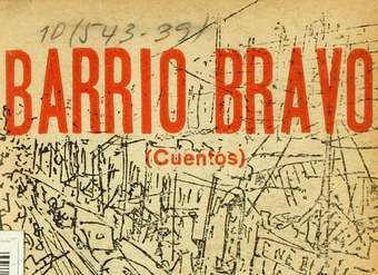 Barrio bravo: cuentos