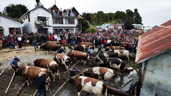 Minga en Quemchi