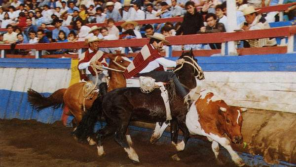 Fiesta del rodeo