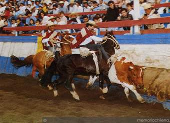 Fiesta del rodeo